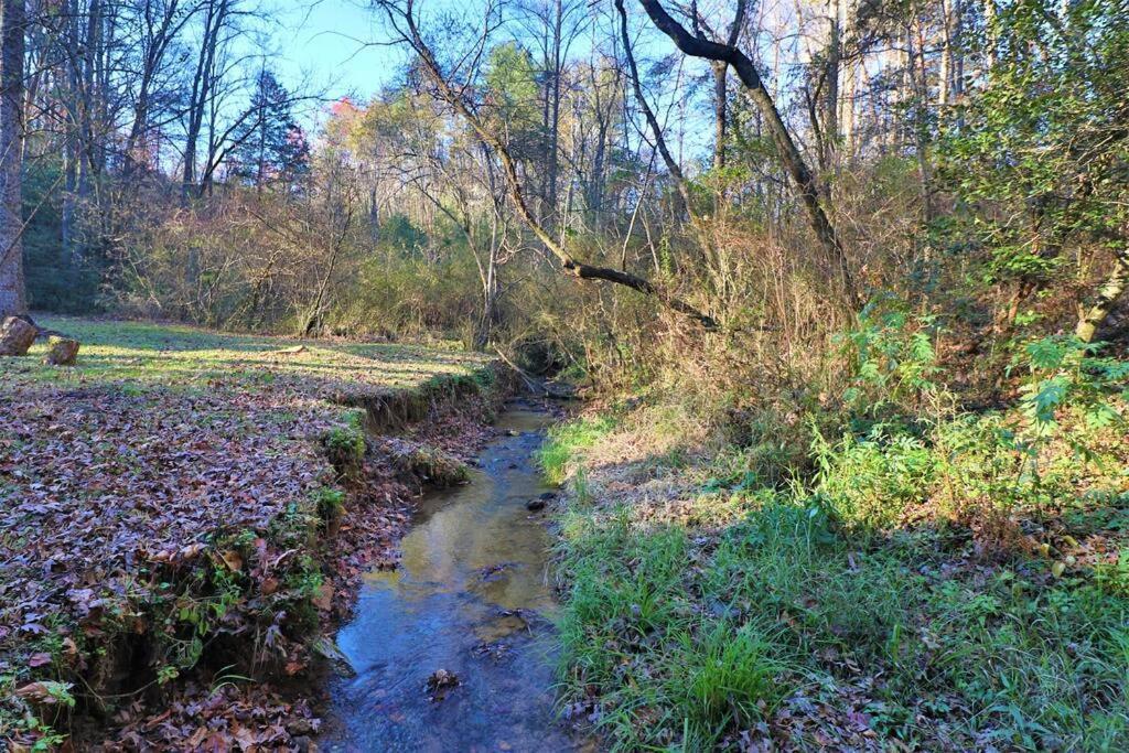Oktoberfest Themed In Woods Stream #14 * Helen